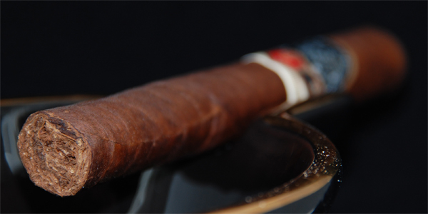 Padilla Dominus - 3